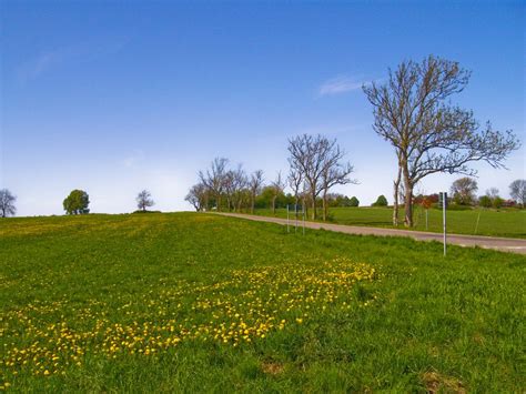Frühlingswiese Foto And Bild Landschaft Äcker Felder And Wiesen Natur