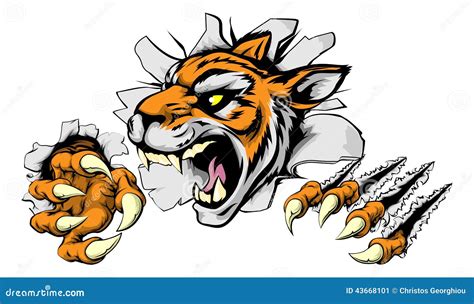 Angry Tiger Sports Mascot Stock Vector Illustration Of Black 43668101
