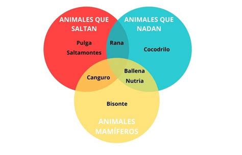 Diagrama De Venn Definición Características Y Usos Iat