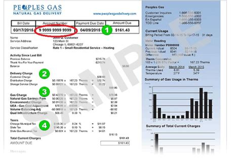 In the customer service category, satisfaction guarantee was ranked on a yes or no basis. How to Read Electricity Bill | Green Mountain Energy