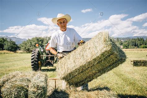 Caucasian Farmer In Field Lifting Bale Of Hay Stock Photo Offset