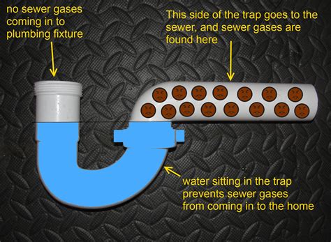 The Answer To All Of Your Basic Plumbing Questions