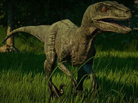 Velociraptor Jurassic World Velociraptor Jurassic Park Jurassic