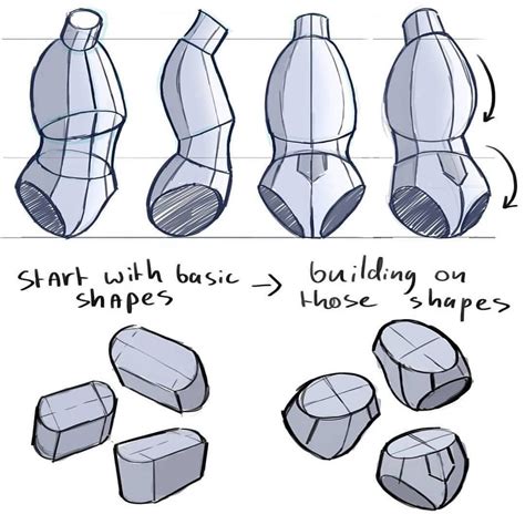 How To Draw The Torso I Always Try To Use These Steps I Learned From