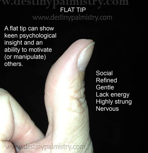 Thumb Tip Shape Meanings In Palmistry Destiny Palmistry