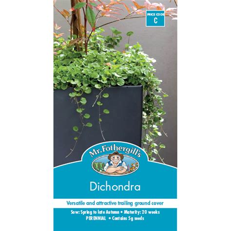 How do you pick wedding flowers? Mr Fothergill's Dichondra Seeds | Bunnings Warehouse