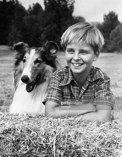 Tommy Rettig With Lassie Filed 61457 Great Tv Shows Childhood