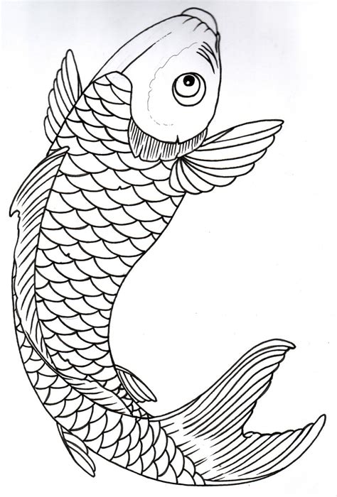 Japanese Koi Fish Sketches At Explore Collection