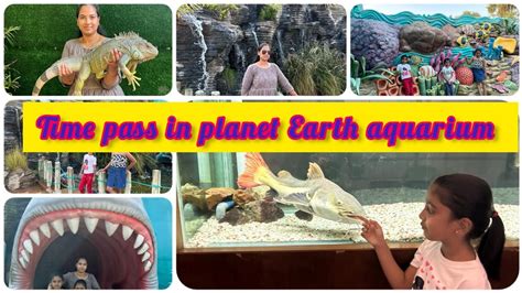 Planet Earth Aquarium In Mysore 😊😊 Youtube