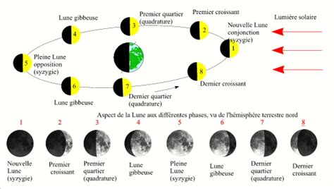 Les Phases De La Lune Page Pour Limpression