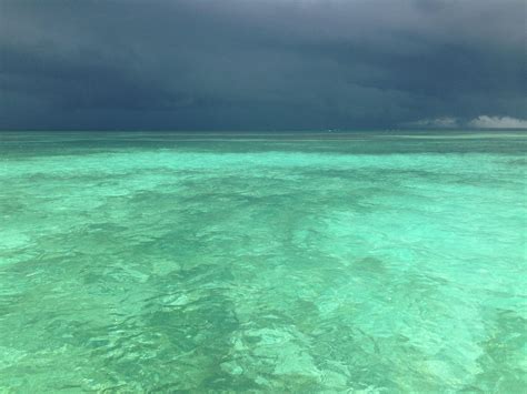 Tarifs Des Excursions En Guadeloupe Blue Lagoon