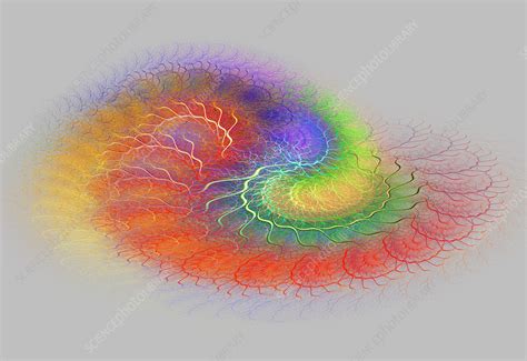 Fractal Flame Stock Image C0307344 Science Photo Library