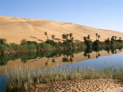 Bordering the mediterranean sea, libya has played a significant role in north africa and the middle east since ancient times. libya africa (With images) | Desert biome