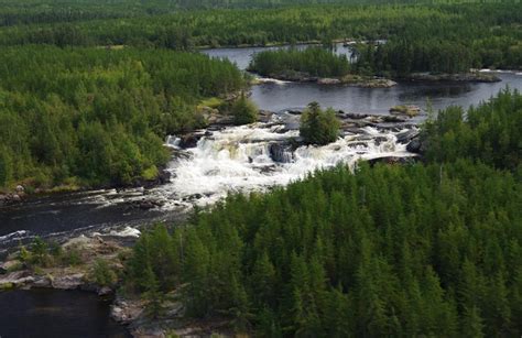Stretch Of Canadian Boreal Forest Deemed A Unesco World Heritage Site