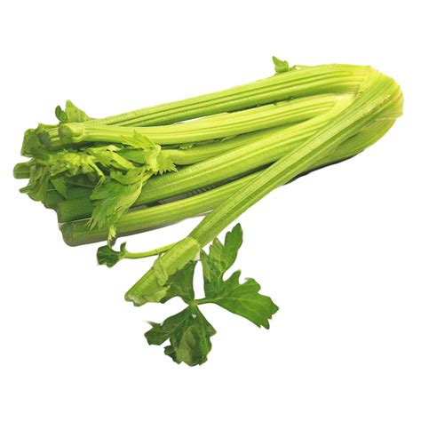 Celery Themealdb