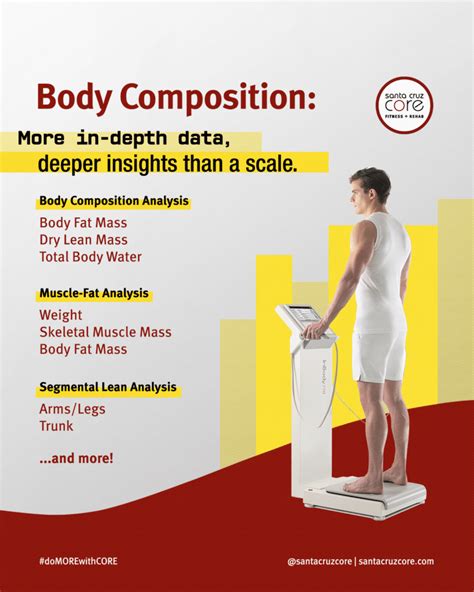 Inbody Accurate Body Composition Analysis In 1 Minute Santa Cruz Core Fitness Rehab