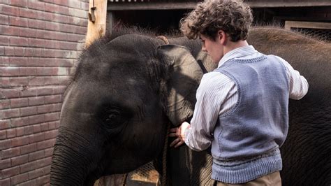 Maybe you would like to learn more about one of these? Zoo (PG) | Close-Up Film Review | close-upfilm