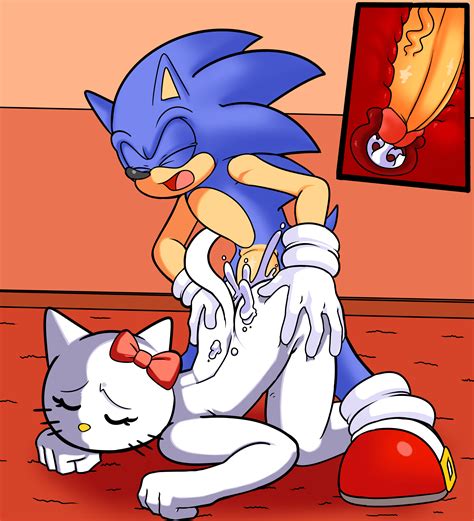 Image 2011325 Hello Kitty Kitty White Sonic Team Sonic The Hedgehog Crossover Dreamcastzx