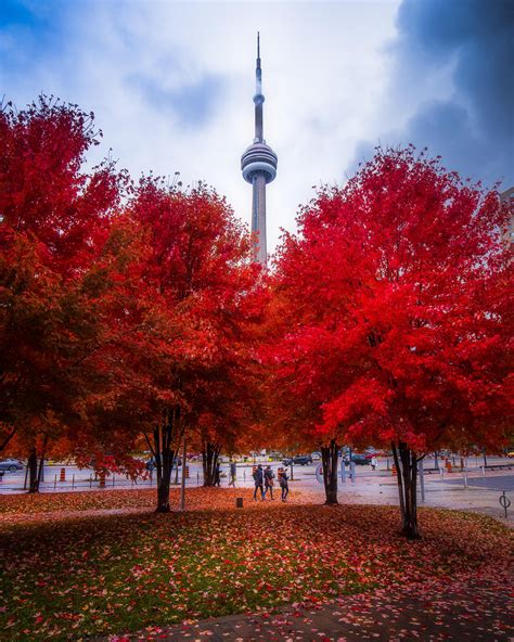 Fall Colours Peaked This Weekend In Toronto Canada Photography