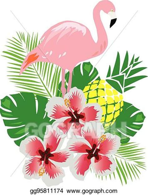 Download High Quality Hawaiian Clipart Flamingo Transparent Png Images