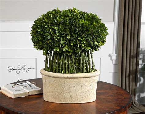 Willow Topiary Preserved Boxwood | Preserved boxwood, Terracotta planter, Boxwood
