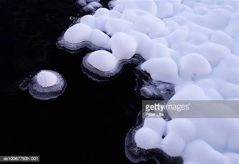 Melting Snowball Photos And Premium High Res Pictures Getty Images