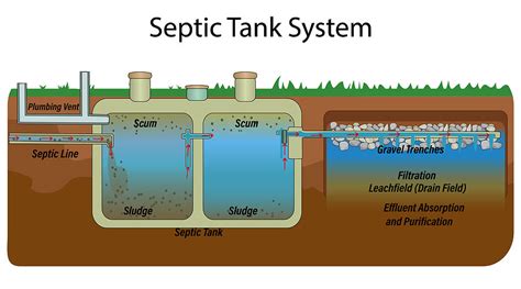 How Does Your Septic System Actually Work