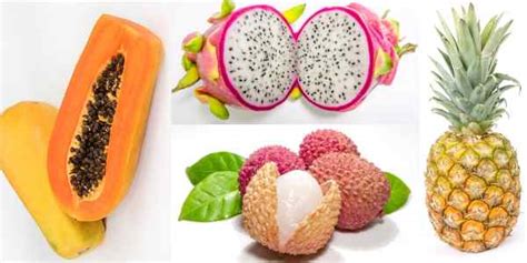 Types Of Fruits Extensive List Of Different Fruits Pictures And Names