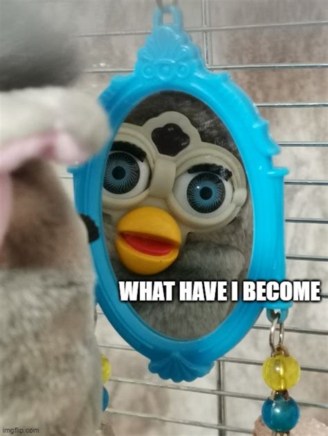 Furby Memes And S Imgflip