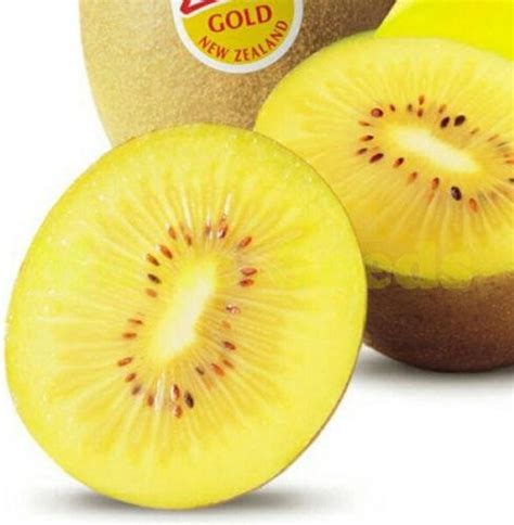 Kiwi is the nickname used internationally for people from new zealand, as well as being a the name derives from the kiwi, a flightless bird, which is native to, and the national symbol of, new zealand. 100 New Zealand Sweet Golden Kiwi Fruit Kiwifruit FRESH ...