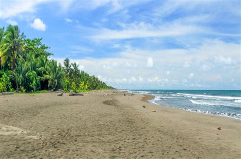 Costa Rica Tortuguero Beach