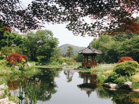 South Korea Beyond Seoul The Garden Of Morning Calm