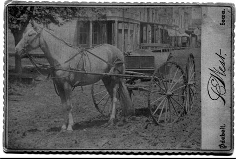 Odebolt History Blog 1890s Horse And Wagon