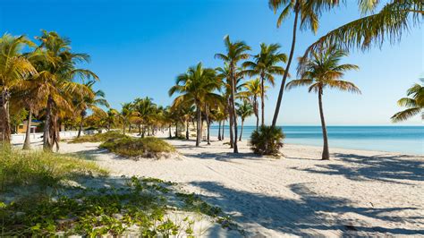 Floridas Crandon Park Beach Is Basically Heaven On Earth For Snorkelers