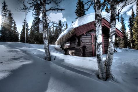 Winter Trees Snow Drifts House Landscape Wallpapers Hd Desktop