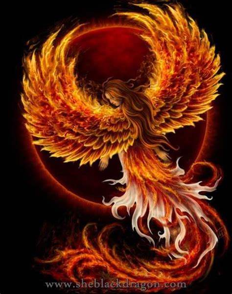 Real phoenix bird phoenix dragon phoenix bird tattoos phoenix animal phoenix artwork phoenix images magical creatures fantasy creatures flame art. 1185797_541674575886344_1153385242_n.jpg (513×650 ...