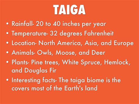26 Best Ideas For Coloring Taiga Biome Facts