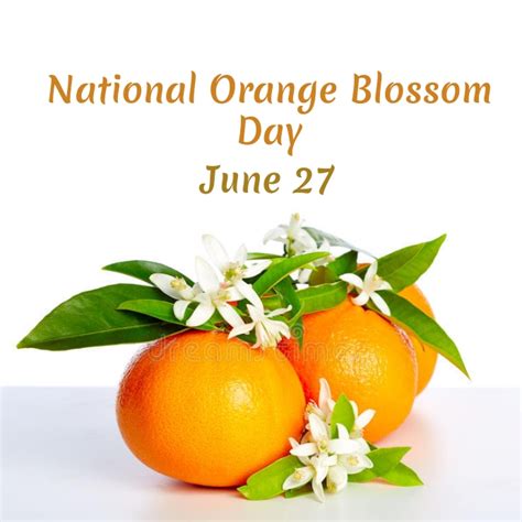 copy of national orange blossom day postermywall