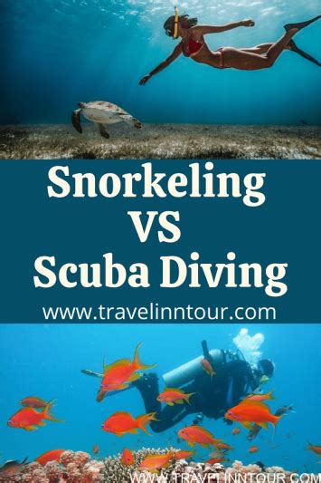 Snorkeling Vs Scuba Diving The Purpose Similarities And Difference
