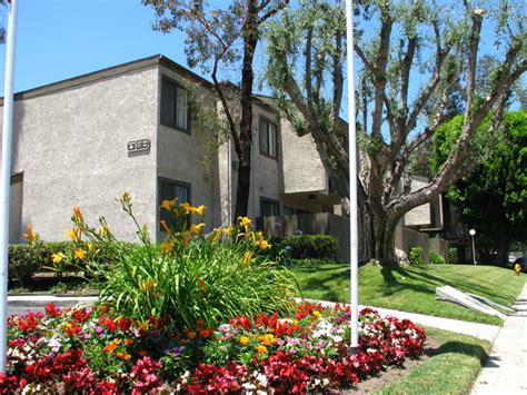 Spring Tree Apartments Chino Ca Apartment Finder