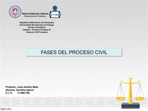 Fases Del Proceso Civil