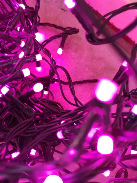 Download A String Of Pink Fairy Lights Blossoming In The Night