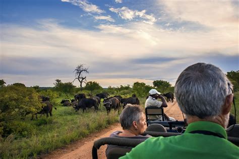 Kruger National Park And Private Game Reserves Tailormade South Africa