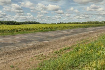 Road At The Sunflower Field Backplates HDRI Haven