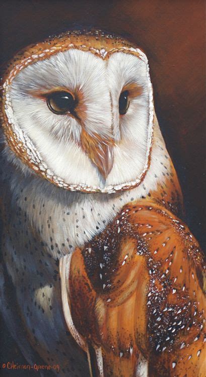 900 Owls Ideas In 2021 Owl Owl Art Owl Decor