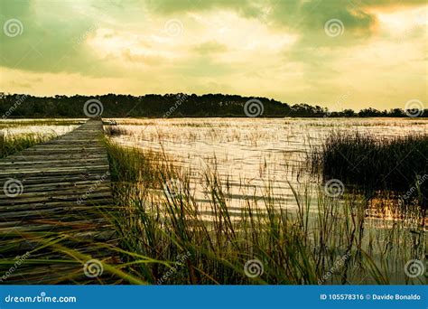 Wooden Pier In South Carolina Low Country Marsh At Sunset With Green