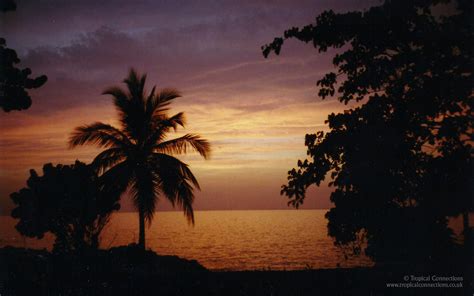 Jamaican Wallpaper