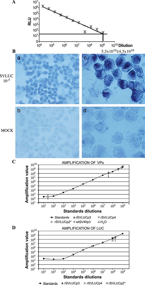 Factors Influencing the Production of Recombinant SV40 Vectors