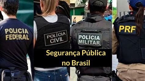 Segurança Pública No Brasil O Que é Função Responsabilidades