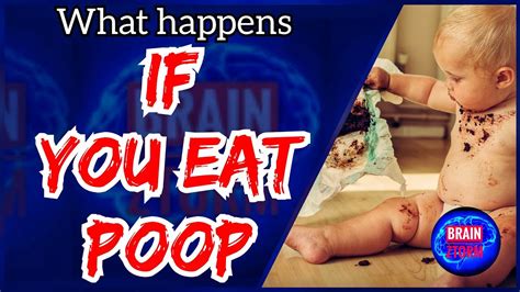 What Happens If You Eat Poop Brain Ztorm Concepts Youtube